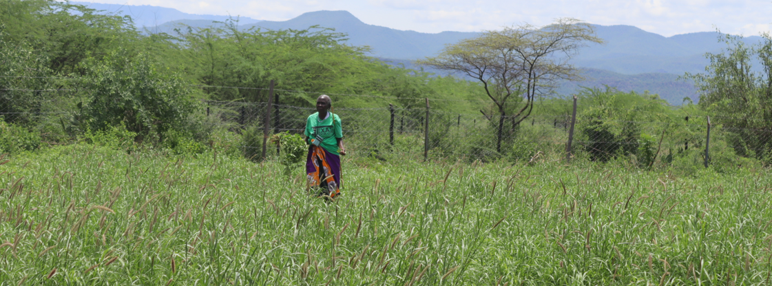 EIWEN agroecology
